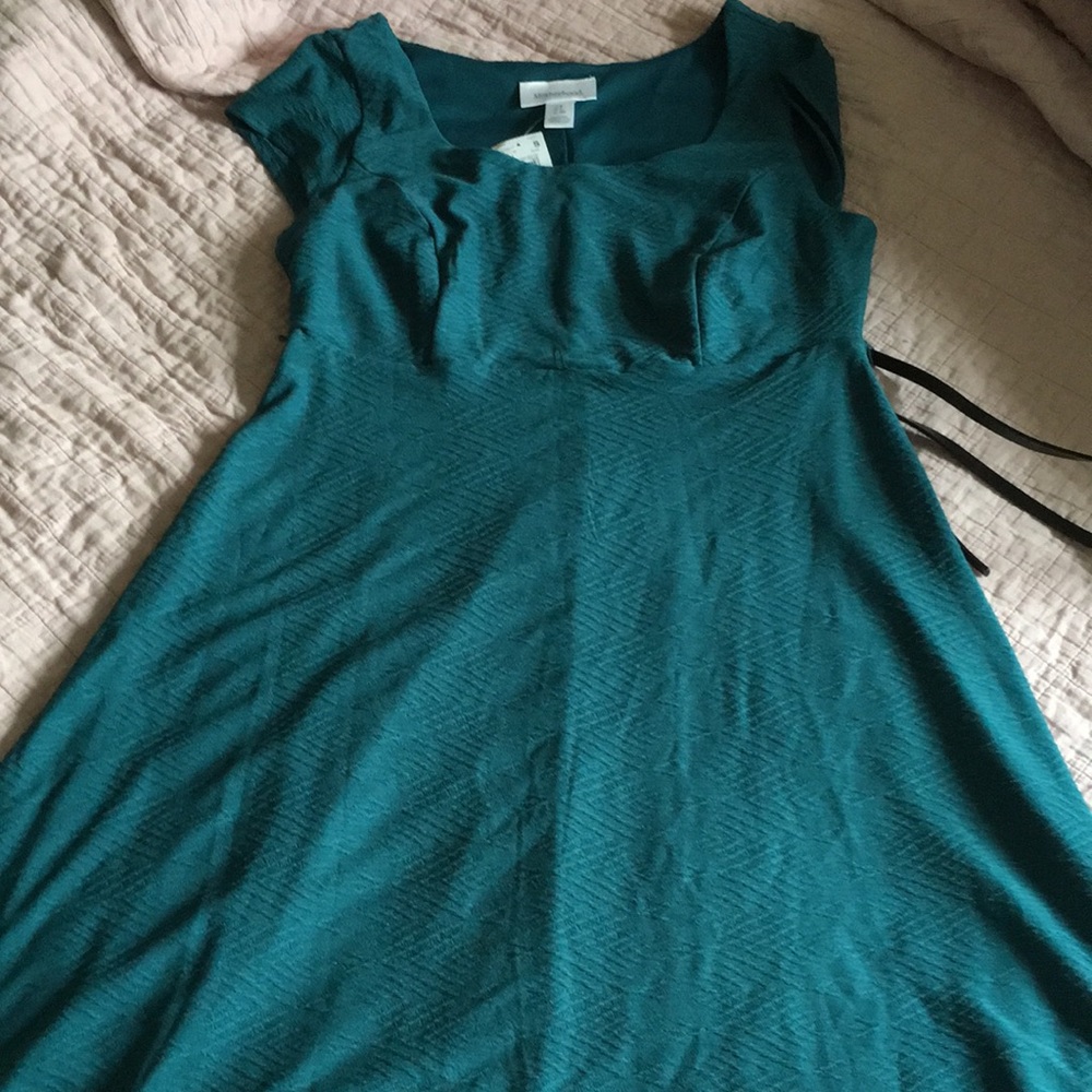 Motherhood Maternity Dress
